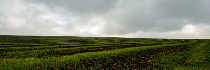 Field and sky in cloudy weather. Web banner.