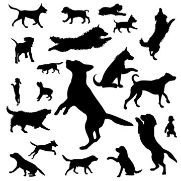 Vector silhouette of collection of dogs on a white background. Symbol of home animal.