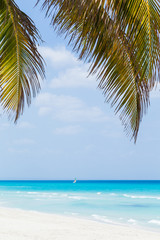 Naklejka na ściany i meble tropical beach with palm trees caribbean cuba varadero