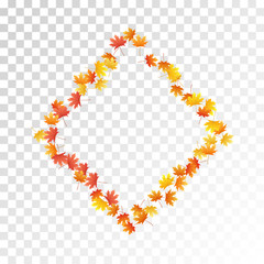 Maple leaves vector illustration, autumn foliage on transparent background.