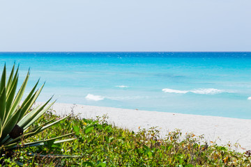 caribbean varadero tropical beach and sea