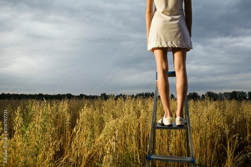 Wall mural Woman standing on step ladder in field