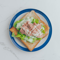 Sanwich salad on a plate with modern background.