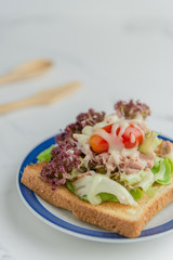 Sanwich salad on a plate with modern background.