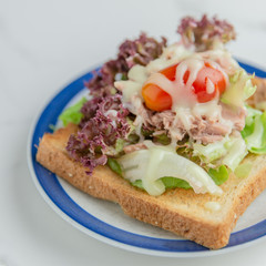 Fototapeta na wymiar Sanwich salad on a plate with modern background.