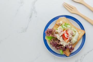 Sanwich salad on a plate with modern background.
