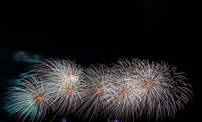 Fireworks on the sky background.