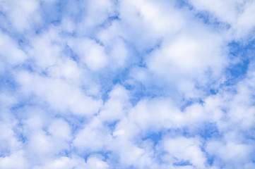 Bright contrasting blue sky with white clouds.