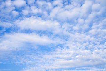 Fototapeta premium Bright contrasting blue sky with white clouds.