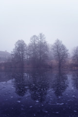 frozen misty lake and trees