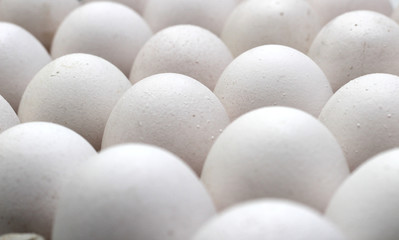 An isolated tray of eggs from recycled materials with white eggs on a white background. Selective Focus