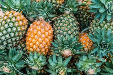 fresh pineapples at the market
