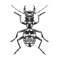 Vector Engraving Insect