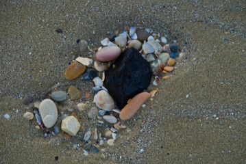 Conchiglie e sassi sulla sabbia
