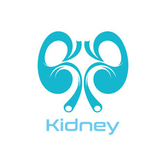 Kidney Care vector illustration design logo template symbol