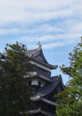 Fototapeta na wymiar Festung Matsue hinter grünen Bäumen