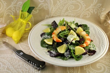Salad fresh organic natural longevity product shrimp gourmet diet folding knife background