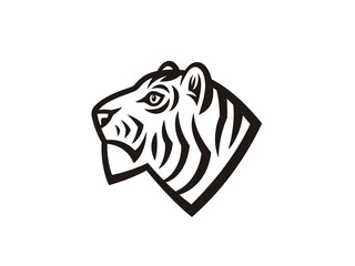 Vector tiger head. Illustration of a wild cat.