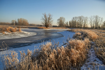 In winter, the trees are covered with fresh snow,