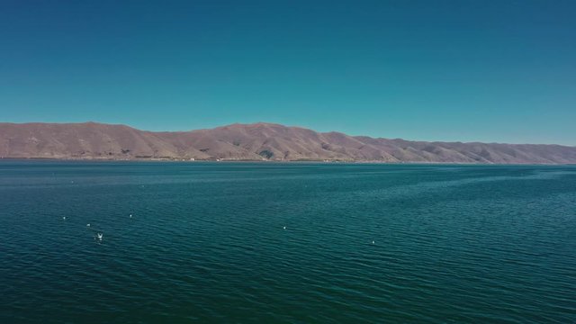 Aerial drone shot of Lake Sevan and seagulls flying on background of Mount Ararat. Aerial drone zoom in shot of Lake Sevan under bright blue sky