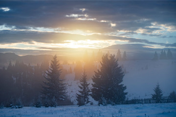 Fototapeta na wymiar Winter forest in dramatic sunrise in the Carpathians, Romania.