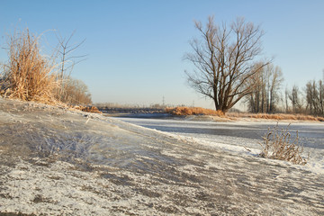 In winter, the trees are covered with fresh snow,
