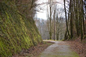 piste cyclable de la vallée de la Doller, Sickert, Alsace