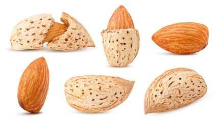 almond isolated on white background, full depth of field