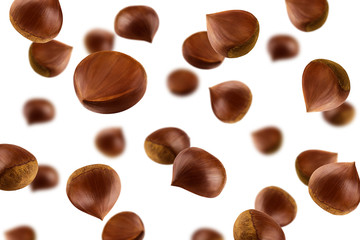 Falling Chestnuts, isolated on white background, selective focus