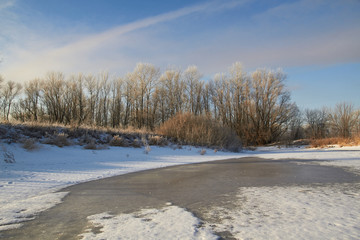 In winter, the trees are covered with fresh snow,