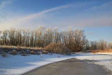 In winter, the trees are covered with fresh snow,
