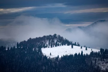 Afwasbaar Fotobehang Mistig bos Winter forest in the Carpathians, Romania.