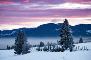 Fototapeta na wymiar Dramatic pink sunrise in winter frozen mountains.
