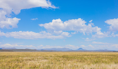 Fototapeta na wymiar Grassland Farming Area of the Karoo Semi-desert in South Africa