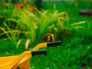 yellow plastic children's wheelbarrow in the garden, Russia