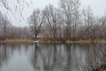 winter landscape river near the banks bare trees