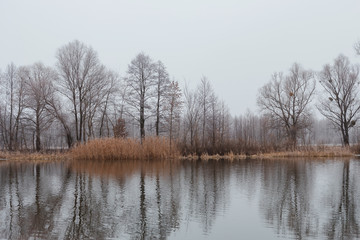 winter landscape river near the banks bare trees