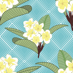 Fototapeta premium Plumeria flowers on rhombus blue background texture