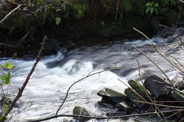 slow motion winter welsh stream