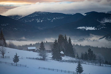 Fototapeta na wymiar Winter forest in the Carpathians, Romania.