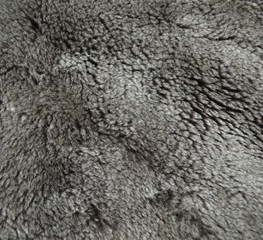  gray background made of sheep fur