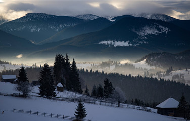 Winter forest in dramatic sunrise in the Carpathians, Romania.