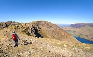 A female hiker walking off the summit of High Crag towards High Stile above Buttermere on a sunny day in the English Lake District.