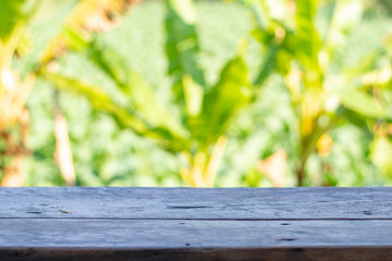 Fototapeta premium Old Wood table top on blur background of the garden and tree.