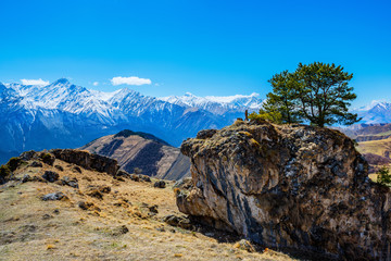 spring day landscape with snow covered peaks and tree grows on stone, Caucasus mountains, Russia, Republic Ingushetia