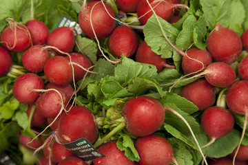 Close-up of raw radish on display in market