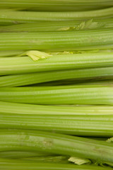 Close-up of spring onions
