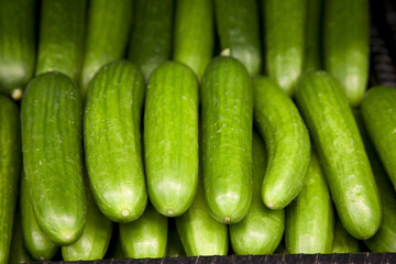Close-up of cucumber on display in market