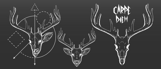 Hand Drawn, deer skull and face silhouette. Vintage deer head vector illustration, scratchboard, engraving, white ink, line art drawing style with geometric shapes and Carpe Diem slogan