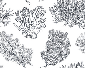 Vector seamless pattern with hand drawn ocean plants and coral reef elements in sketch style. © natality
